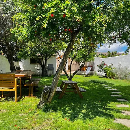 Sardinian House With Spacious Garden And Veranda *