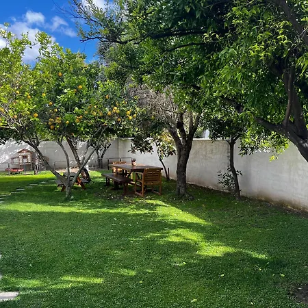 Sardinian House With Spacious Garden And Veranda *
