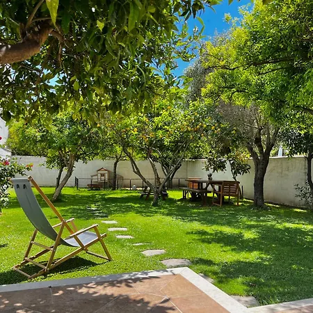 Sardinian House With Spacious Garden And Veranda *